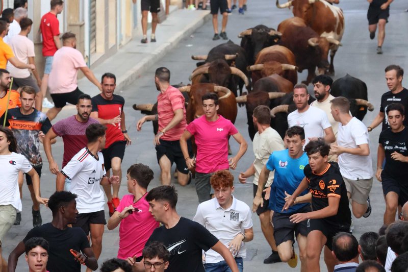 Els Coves s’enduu tots els premis del Concurs de Ramaderies de les Festes de Pedreguer Els Coves s’enduu tots els premis del Concurs de Ramaderies de les Festes de Pedreguer